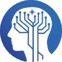 OpenSynaps AI